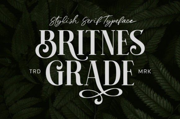 Britnes Grade: A Serif Font for Branding That Speaks Volume