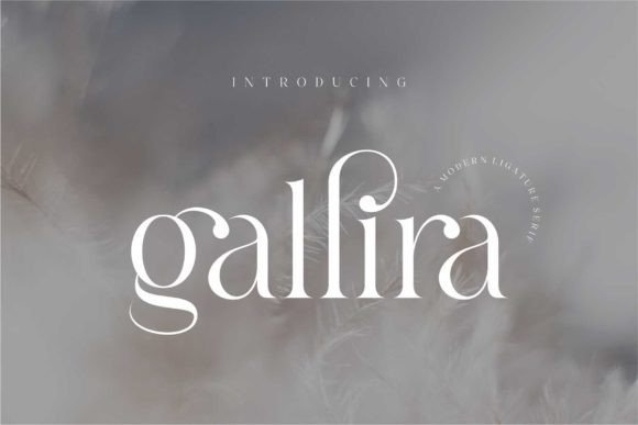 Gallira: A Bold Serif Font for Branding and Design